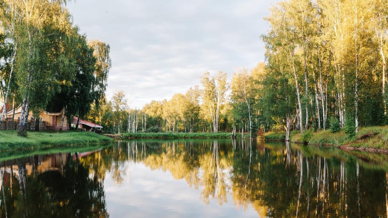 Real photos of Yasnaya Polyana