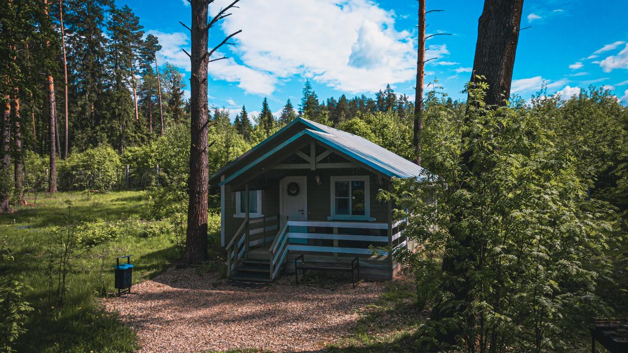 Real photos of Yefimov Forest