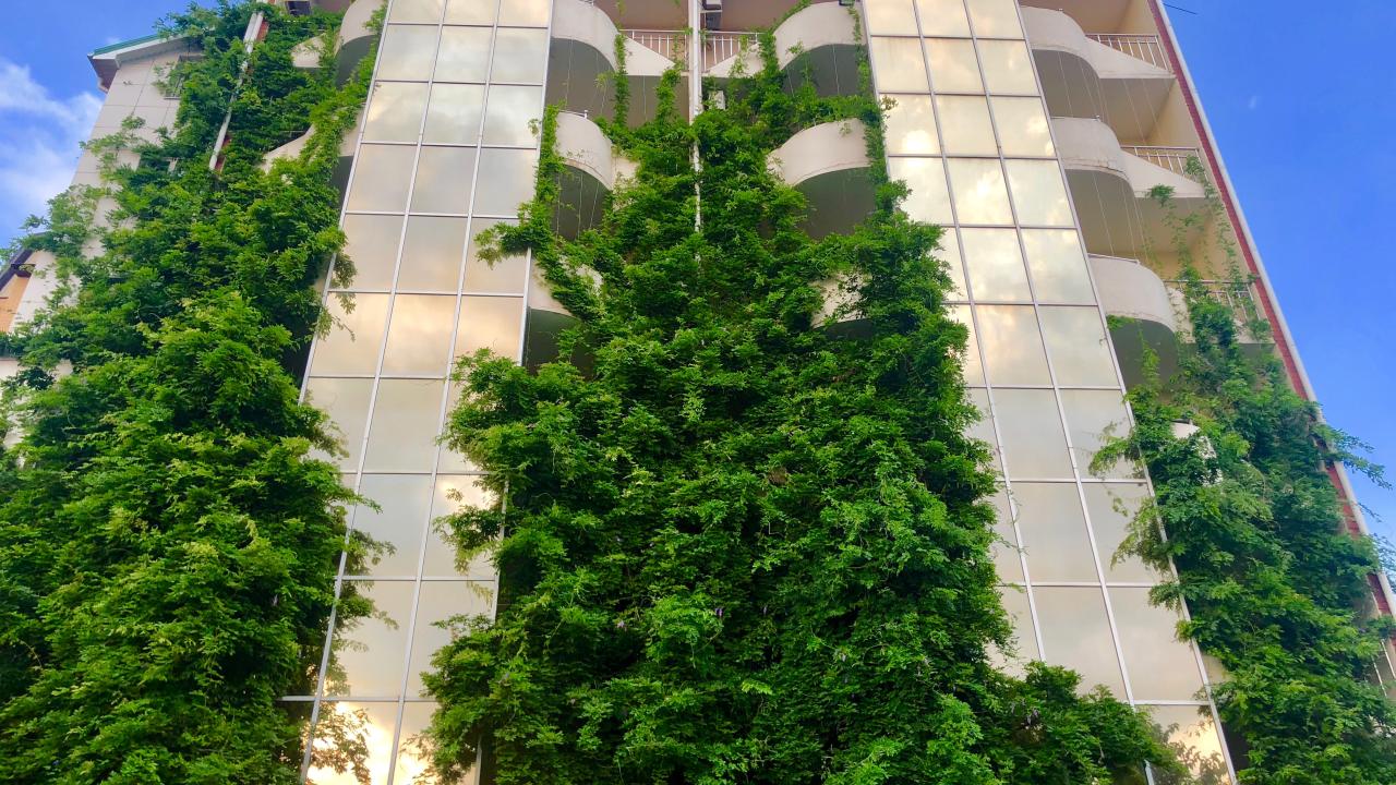 Real photos of Grand Hotel Uyut