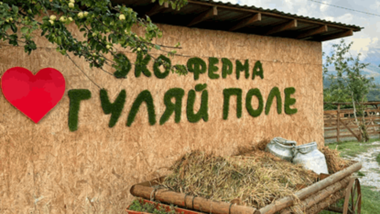 Реальные фото Гуляй поле