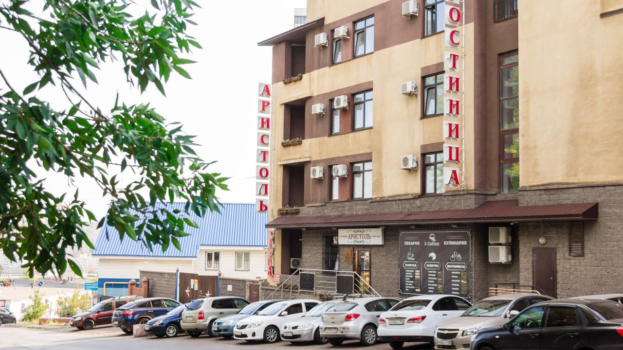 Реальные фото Аристоль