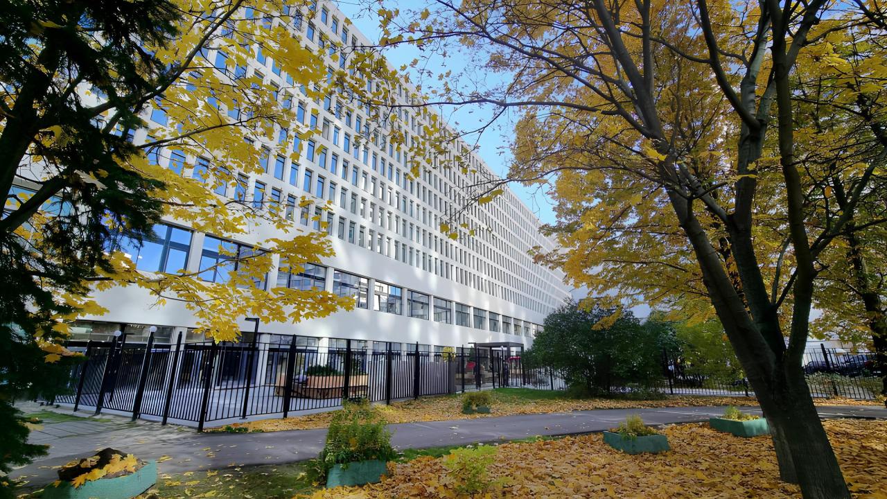 Real photos of El'apts on Vernadsky