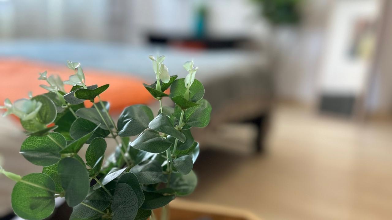 Real photos of Apartments on Pobedy Avenue 230
