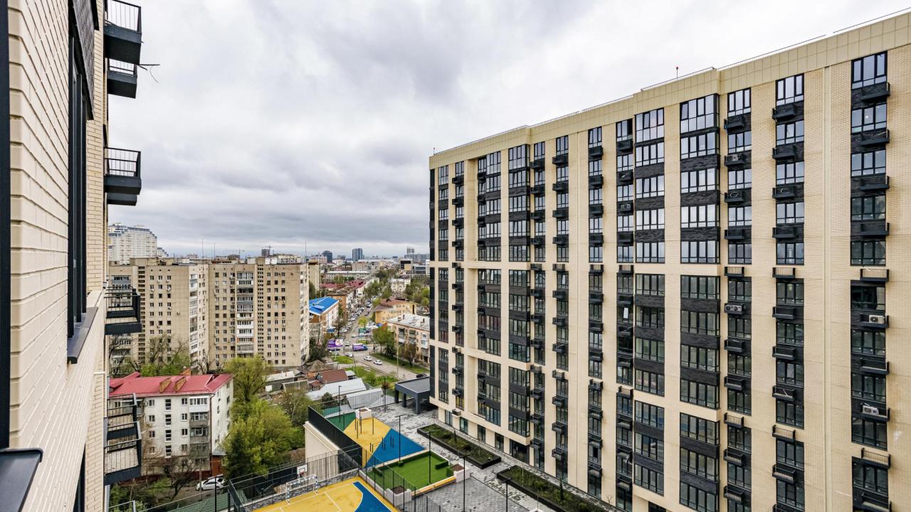 Real photos of Domino on Gavrilova Street