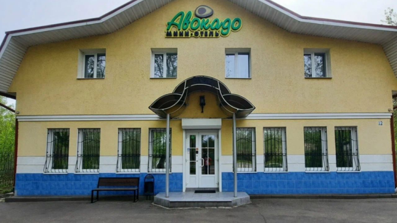 Real photos of Авокадо