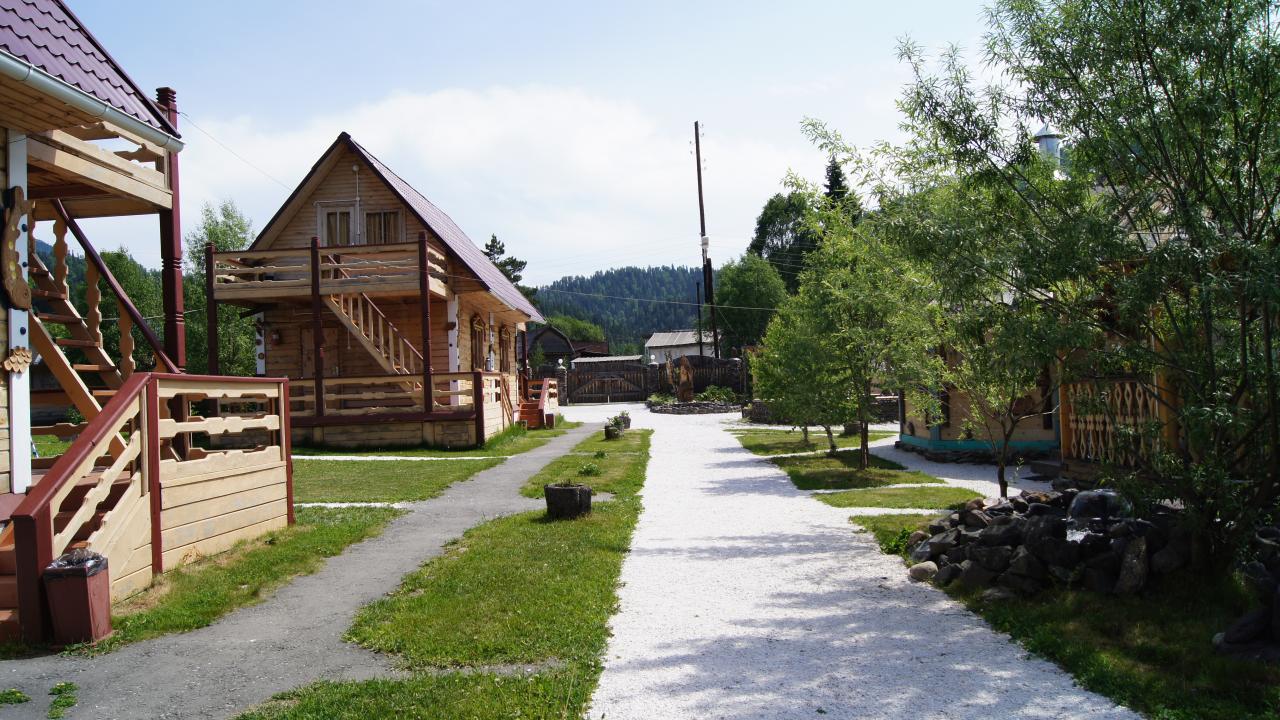 Real photos of Zolotaj rybka