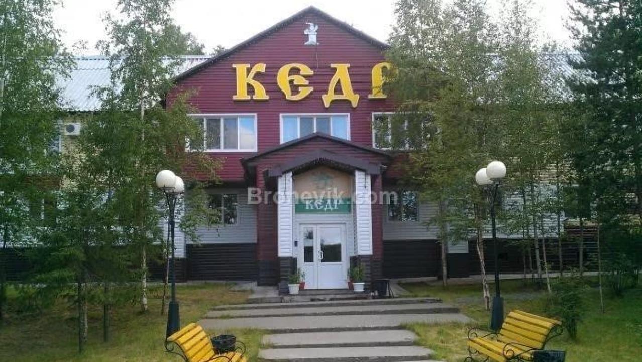 Real photos of Кедр