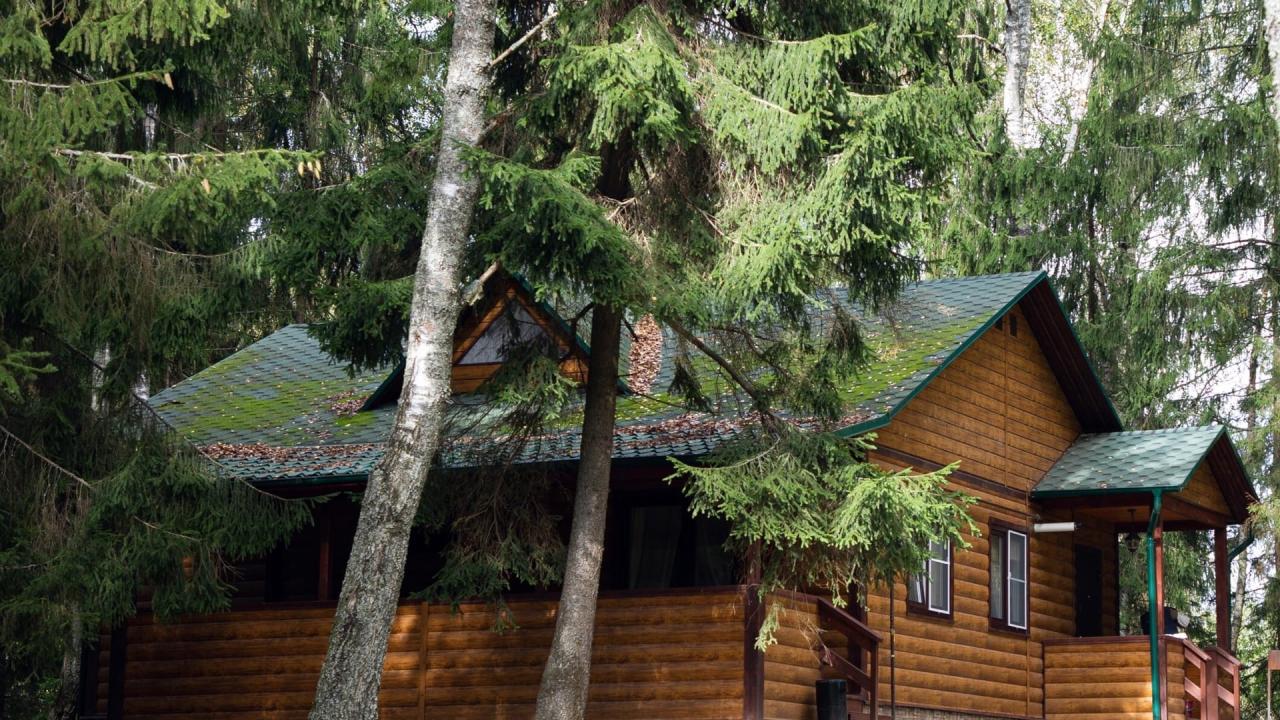 Реальные фото База Миг
