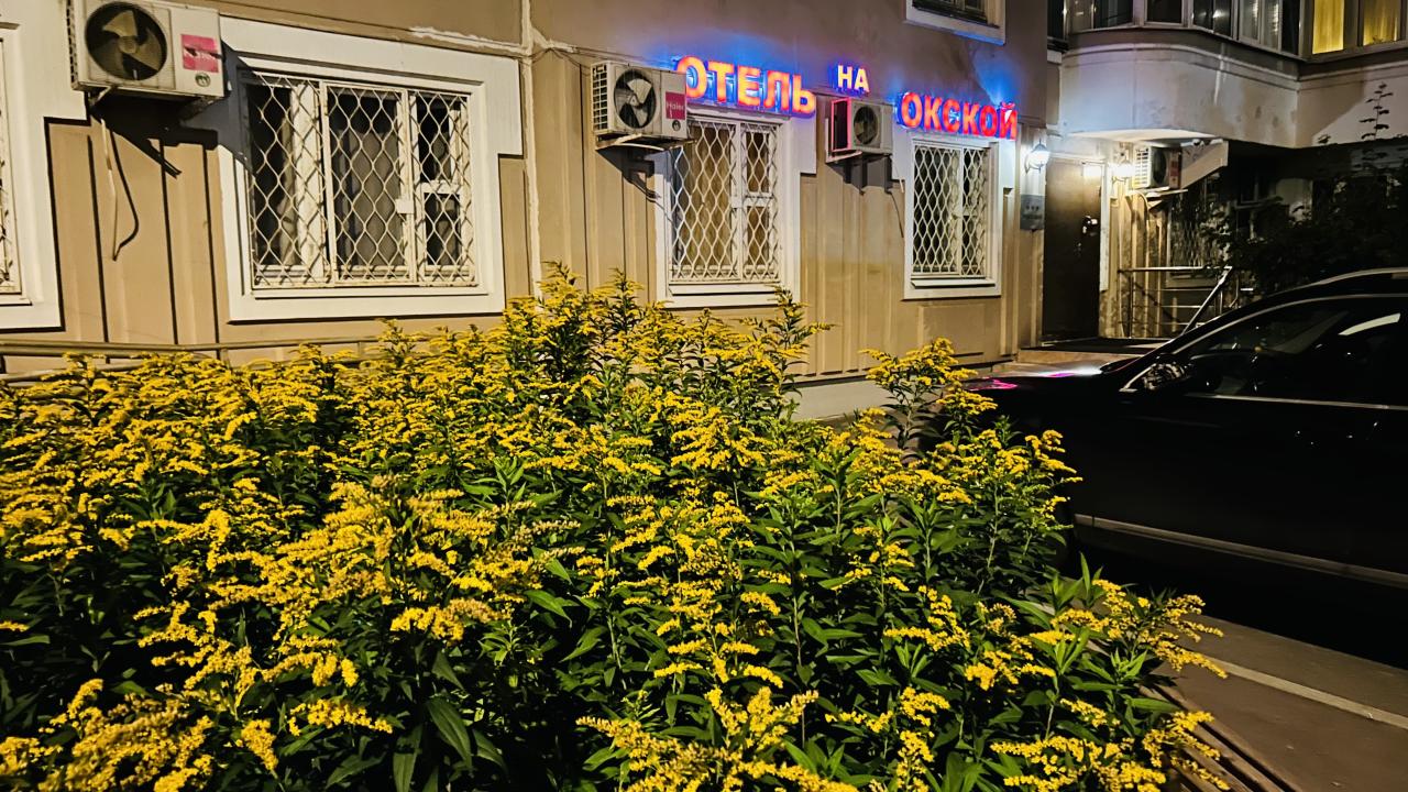 Реальные фото На Окской