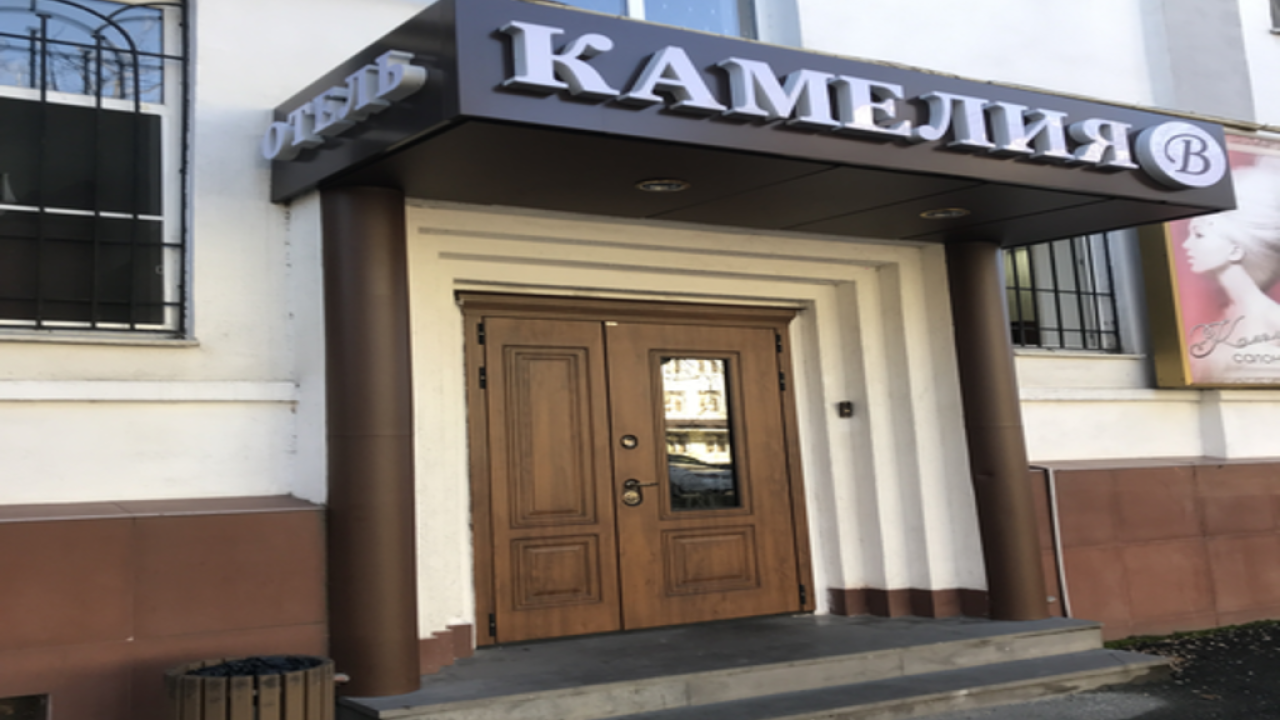 Реальные фото Камелия