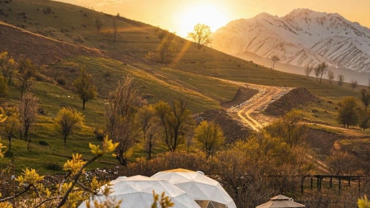 Real photos of Eco House Glamping by ART HOTEL