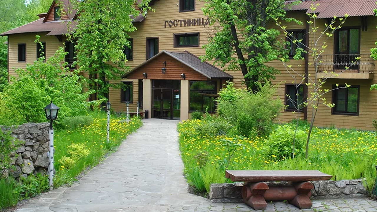 Реальные фото Русский лес