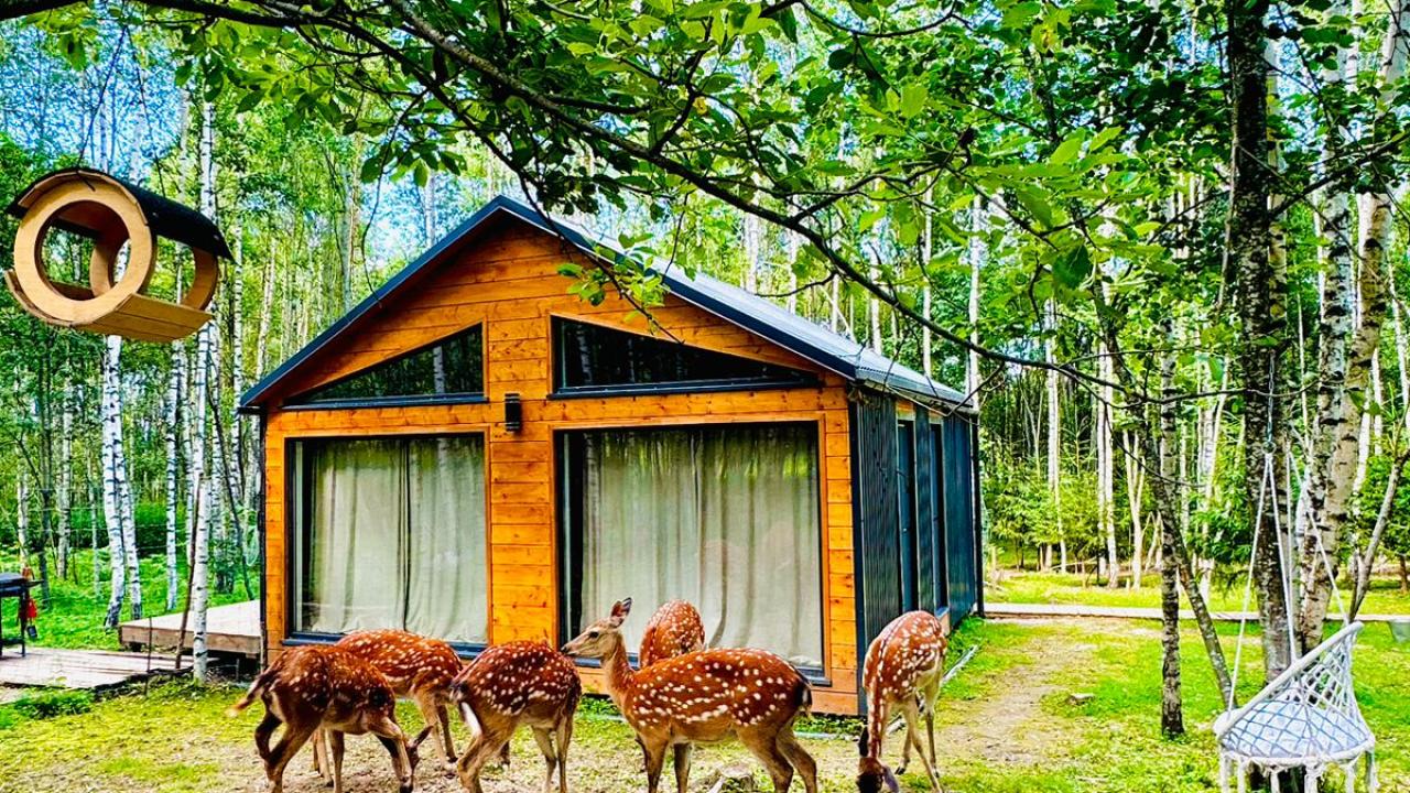 Real photos of Domiki Bembi Land
