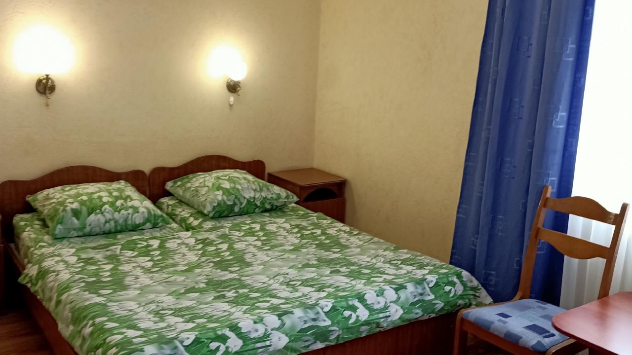 Реальные фото Чайка