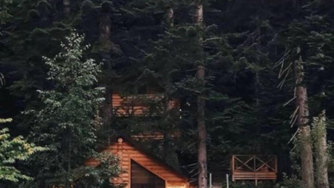 Real photos of A house in the forest
