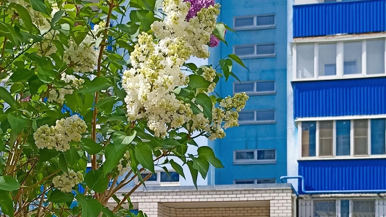Real photos of VLZhome on 116 Lenin Avenue