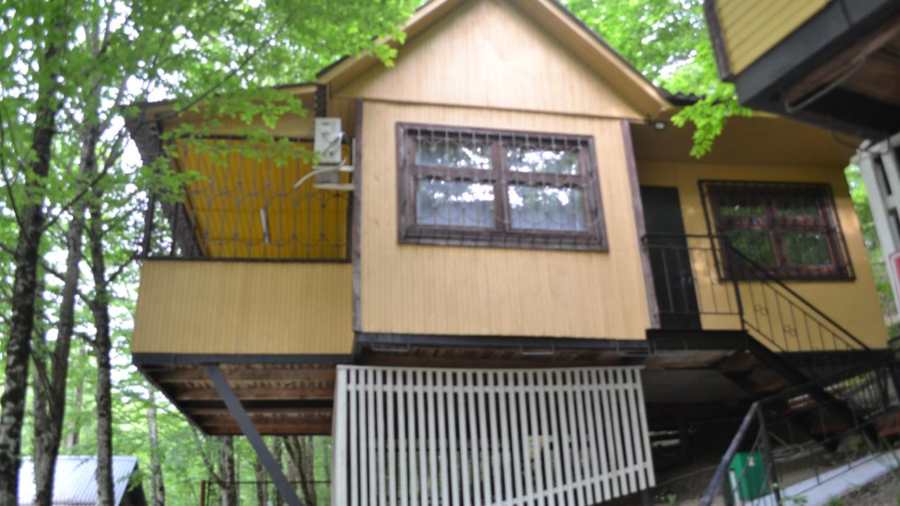 Аммонит