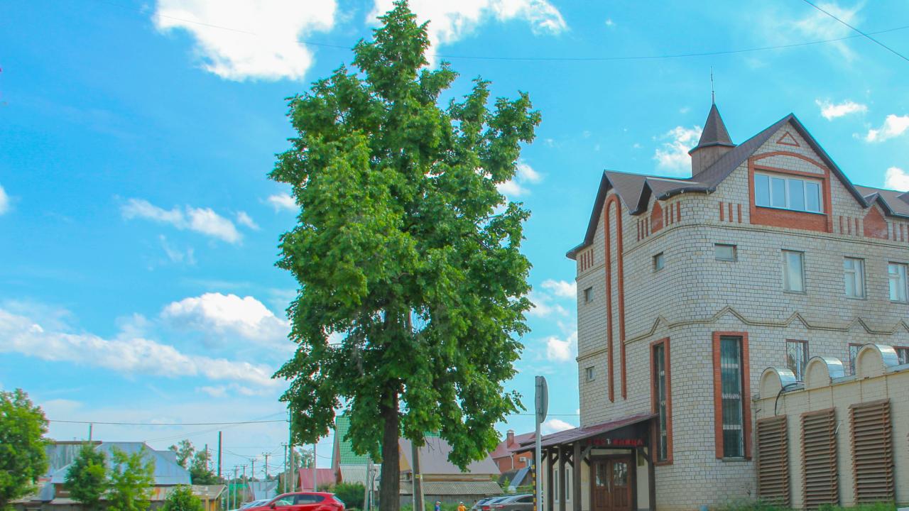 Реальные фото Градец