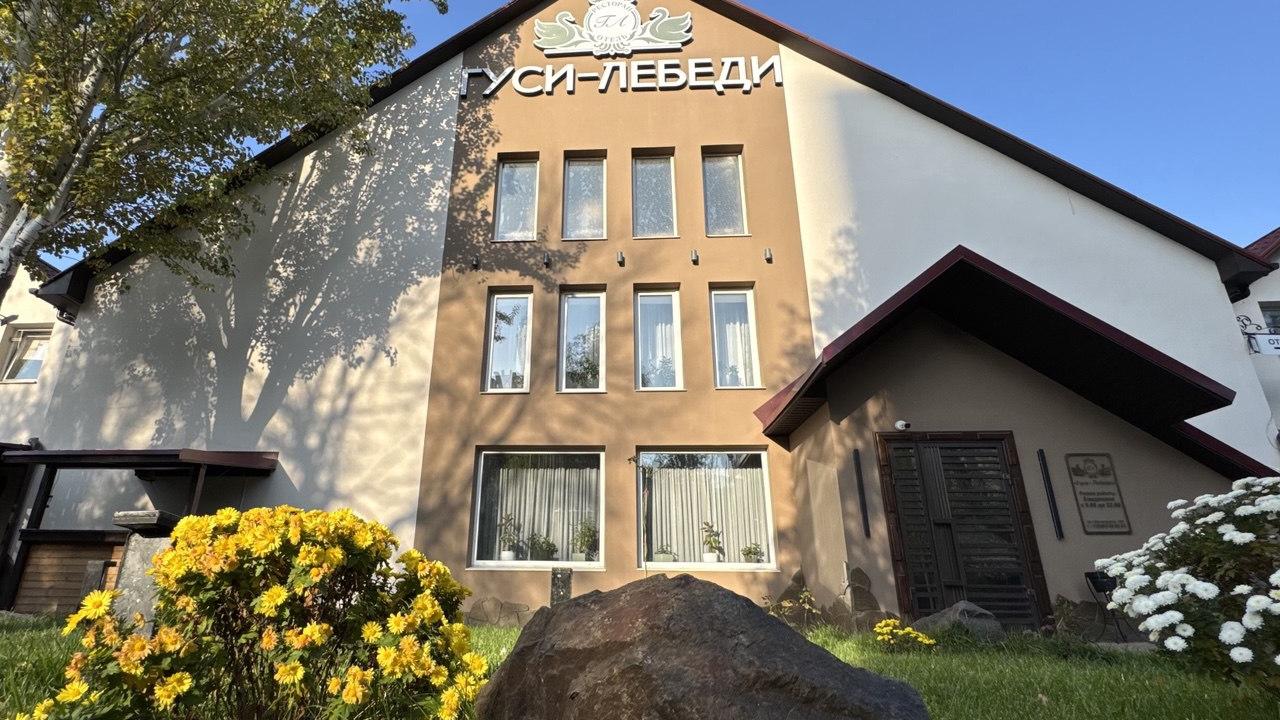 Реальные фото Гуси Лебеди