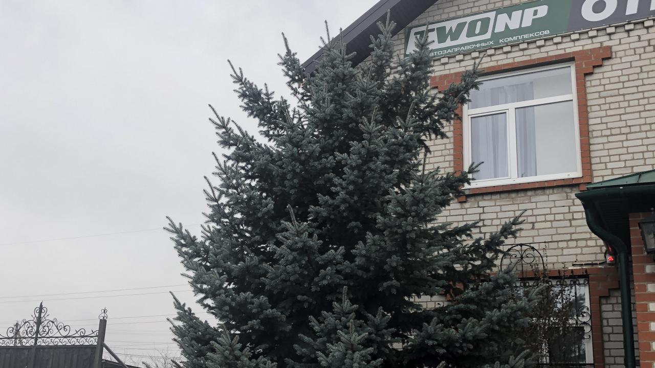Реальные фото TwoNP (ТУ НП)