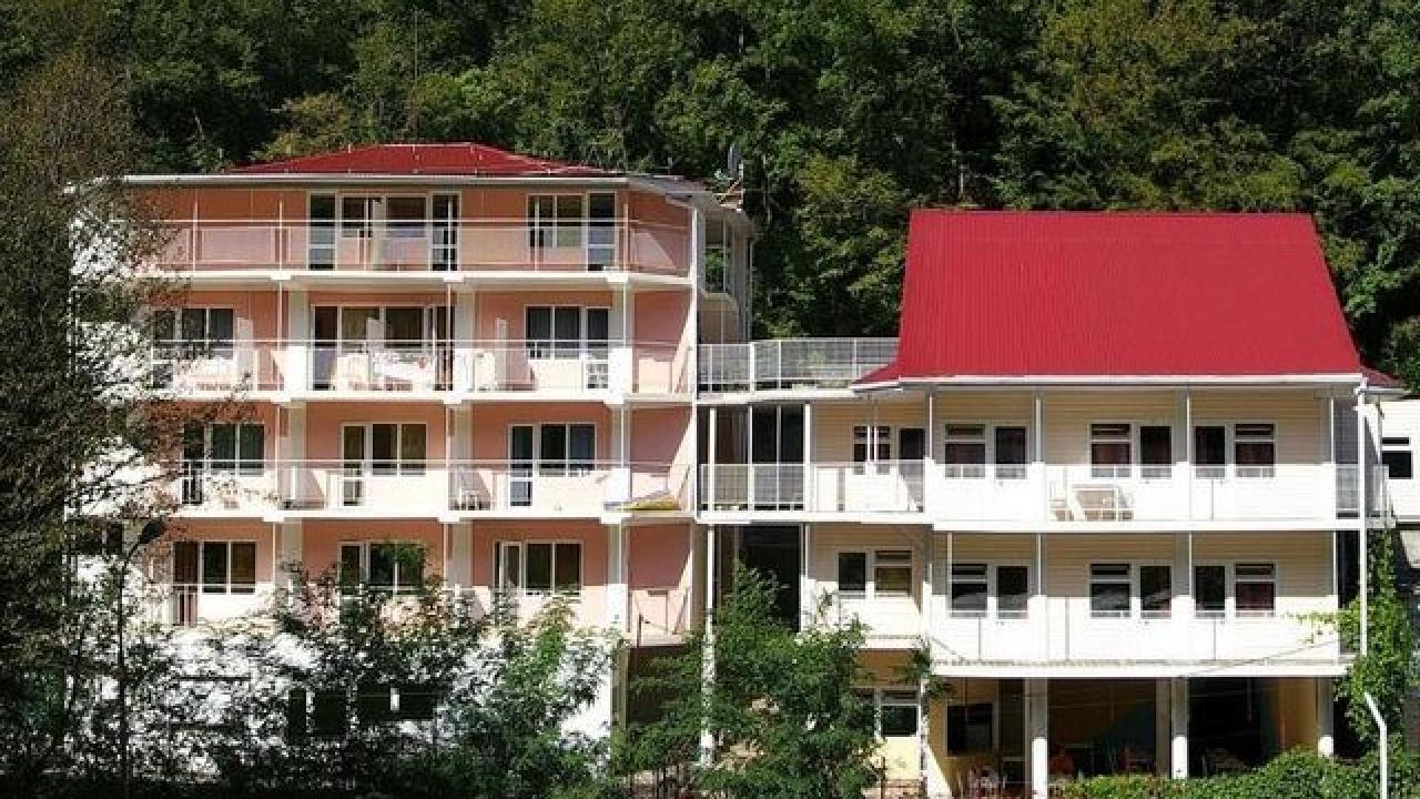 Реальные фото Пальма