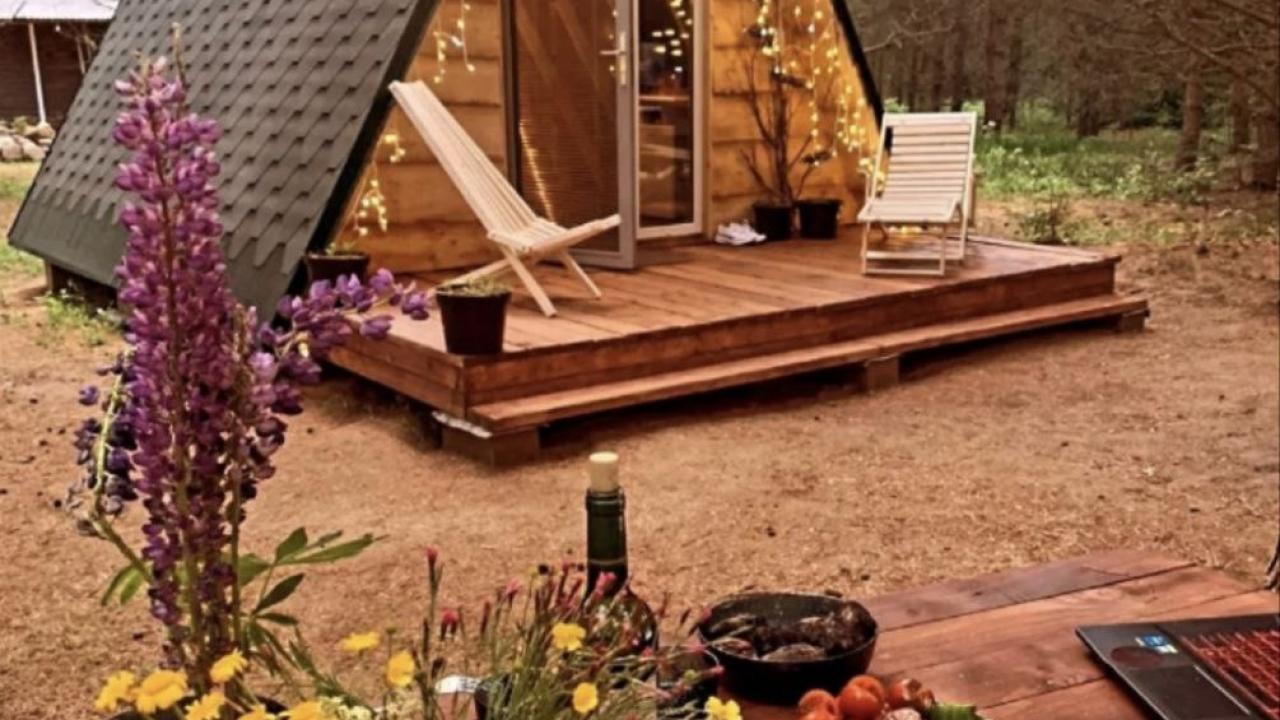Real photos of neDacha