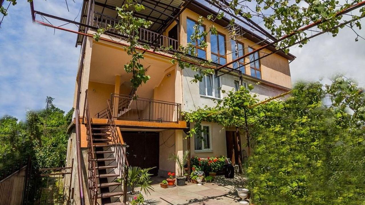 Реальные фото Тропики