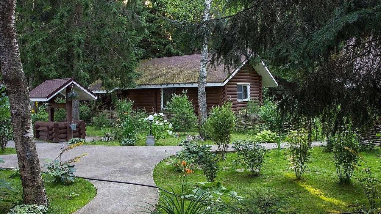 Real photos of Green Forest Club (Grin forest klab)