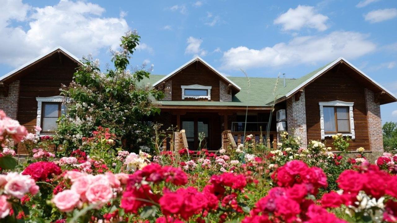 Реальные фото База отдыха Пеней