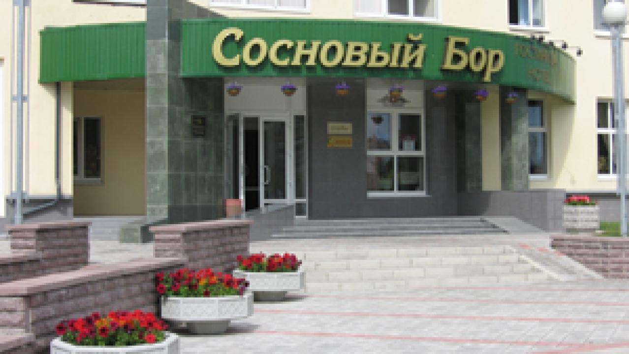 Реальные фото Сосновый Бор