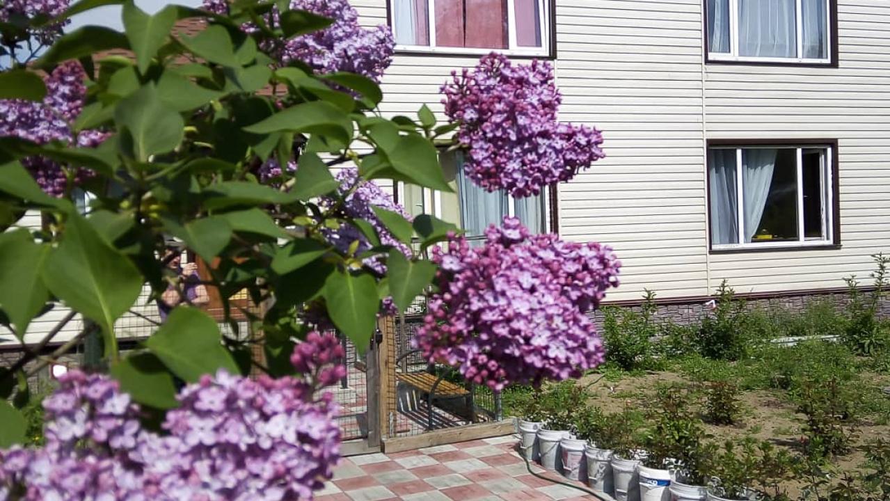 Камчатдар