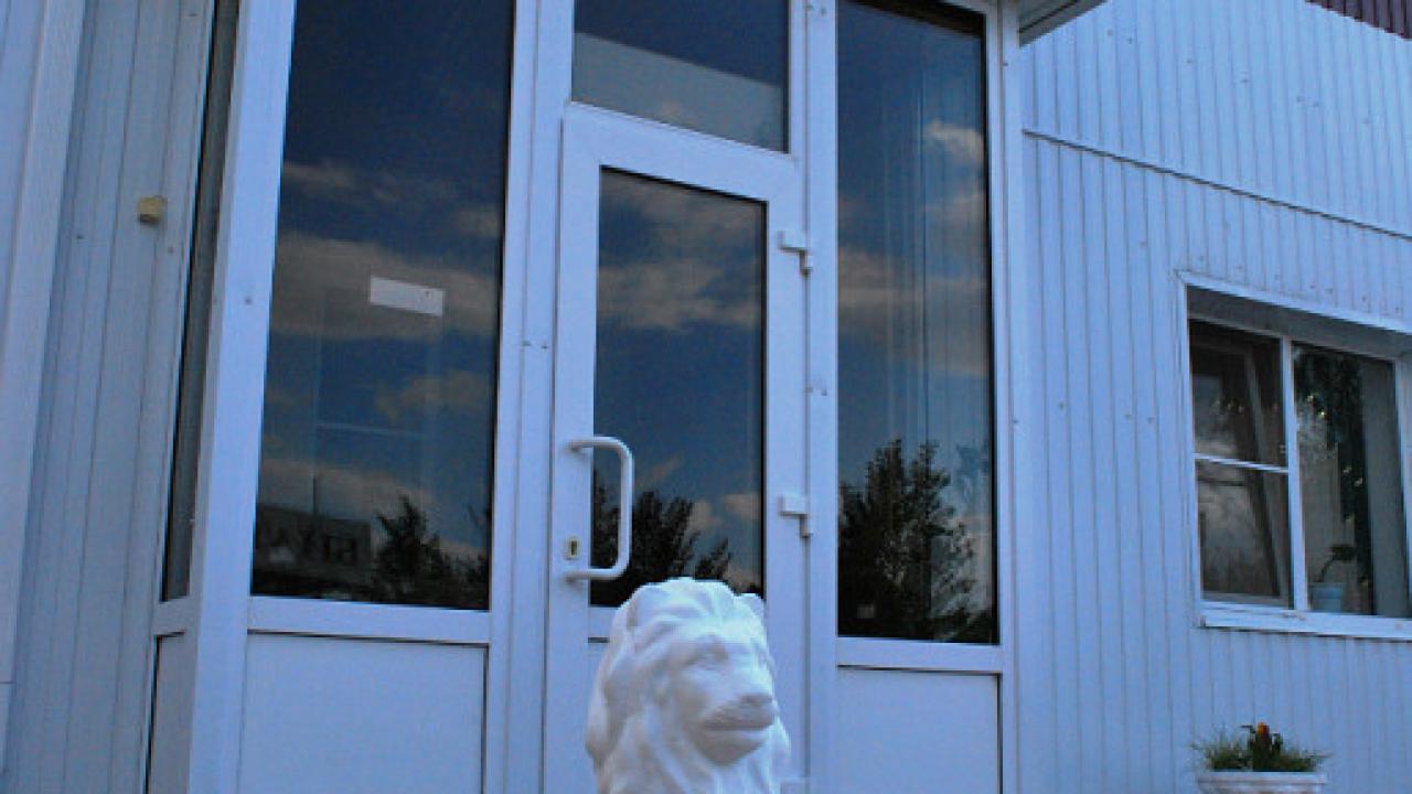 Real photos of ViktorIS