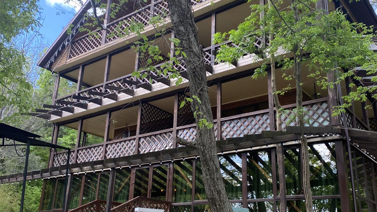 Real photos of Green Wood