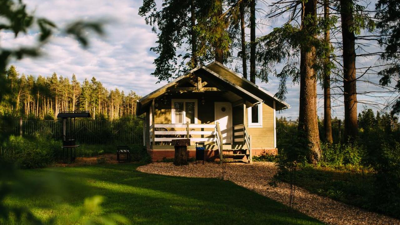 Real photos of Yefimov Bor Forest Resort