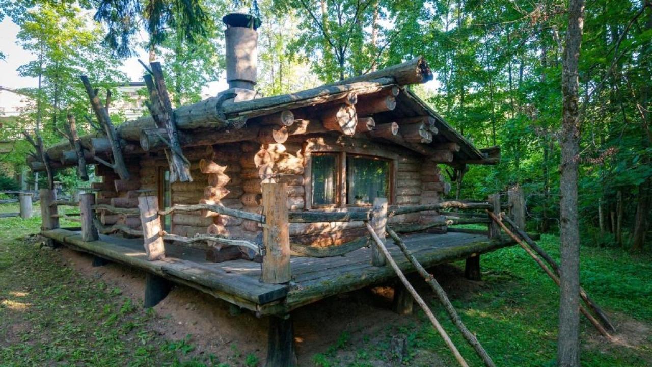 Реальные фото The Zaimki Chalet