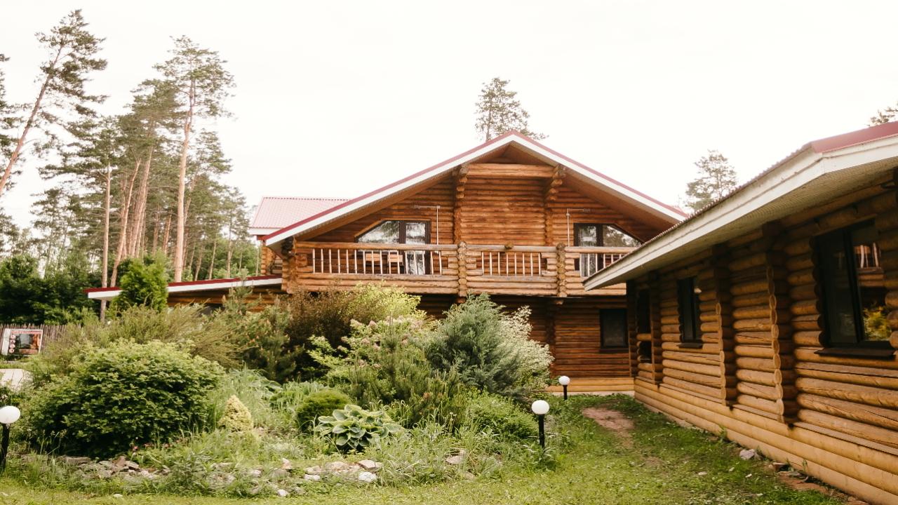 Real photos of Lesnaya Gavan'