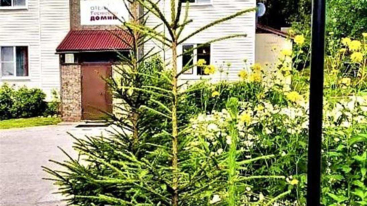 Real photos of Guest house "Anchor"