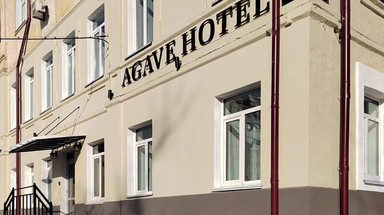 Реальные фото Agave (Агава)