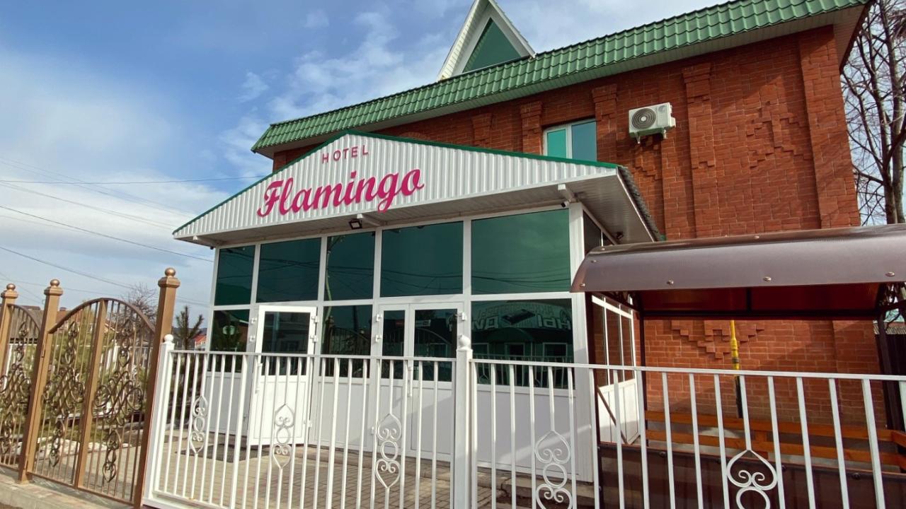 Real photos of Flamingo on Turgenev