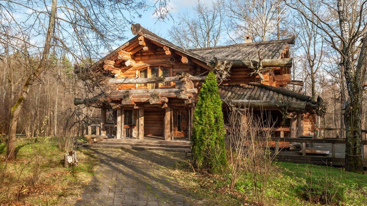 Реальные фото Taezhnye bani