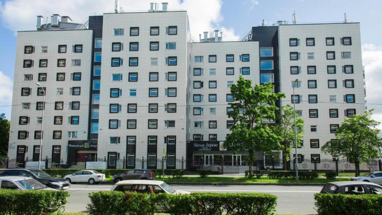 Реальные фото Белое Дерево