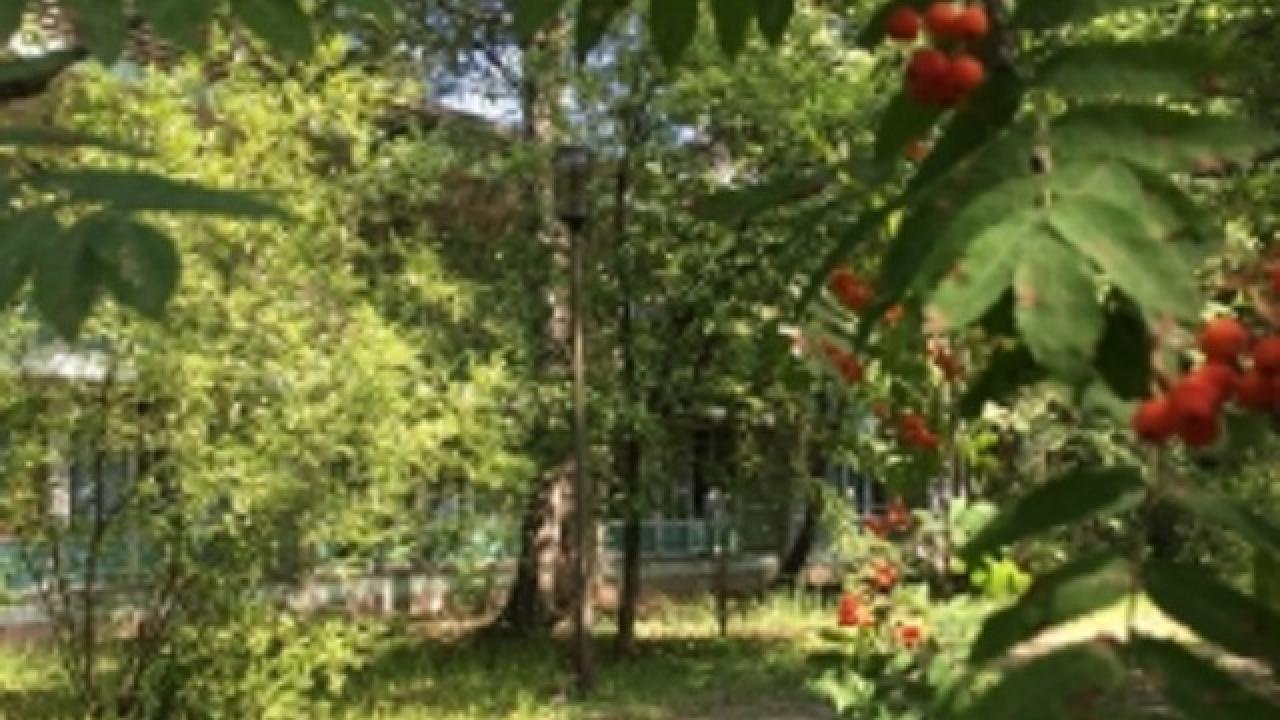 Реальные фото Dachnaya rezidentsiya
