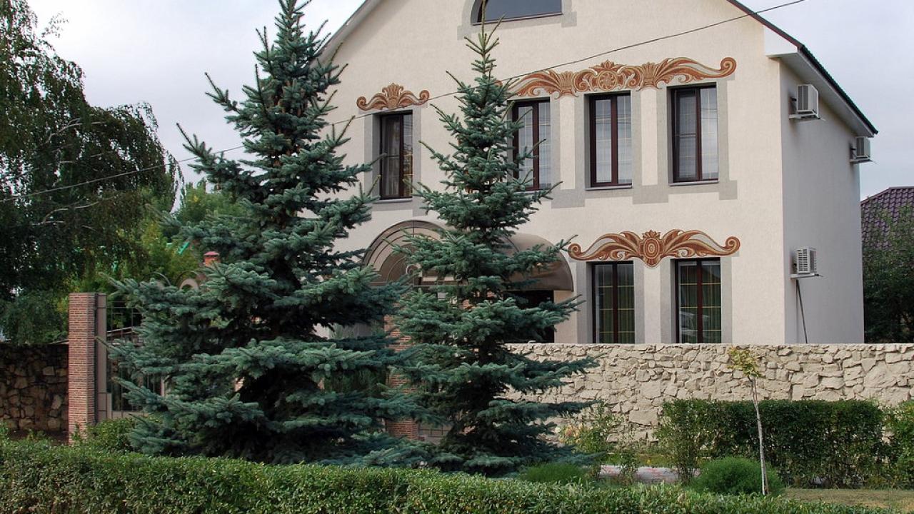 Real photos of Na Svetloi