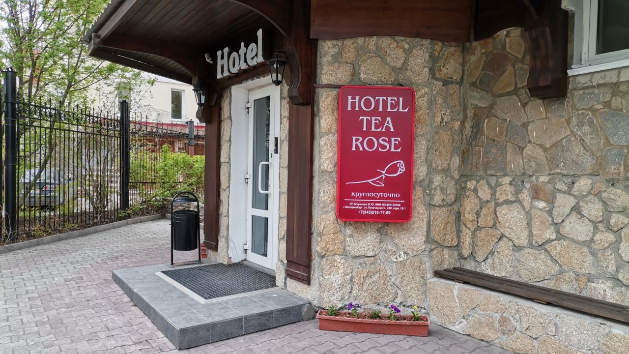 Реальные фото Чайная Роза