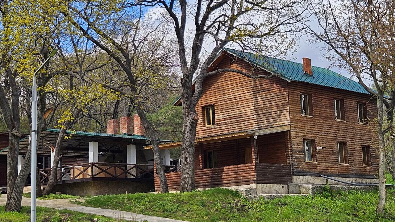 Реальные фото Заячьи Ушки