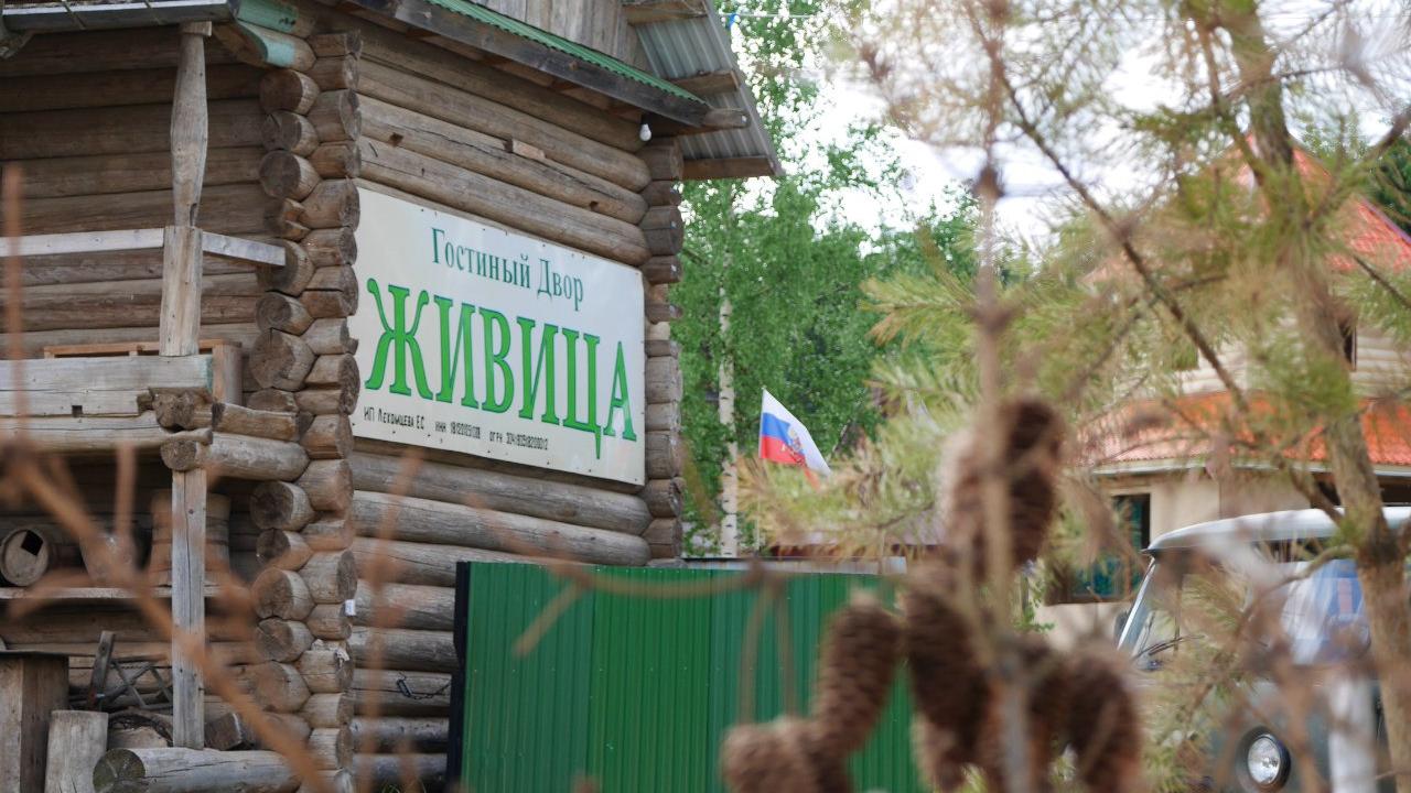 Живица