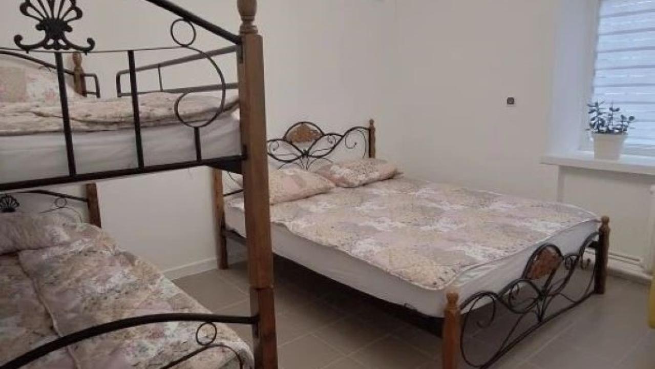 Реальные фото Гуси