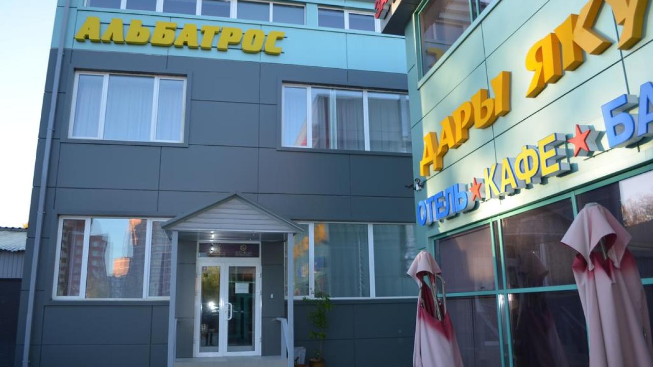 Реальные фото Альбатрос