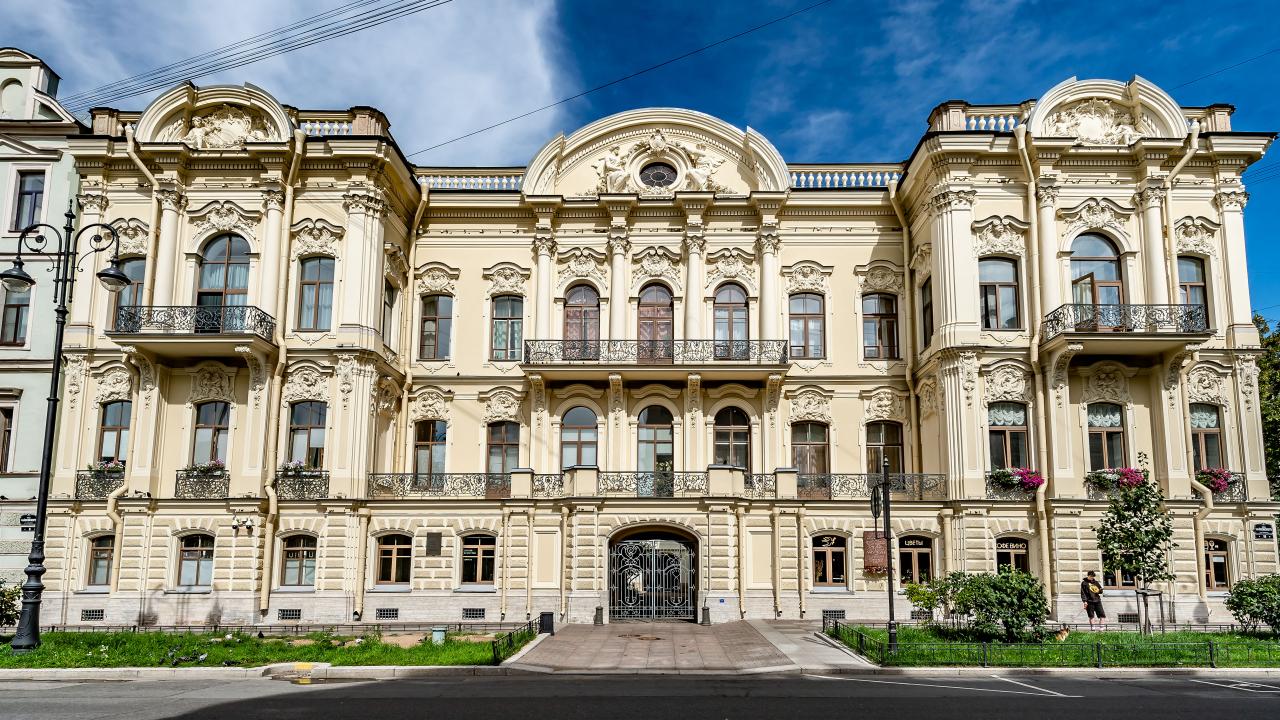 Реальные фото Чайка на Фонтанке