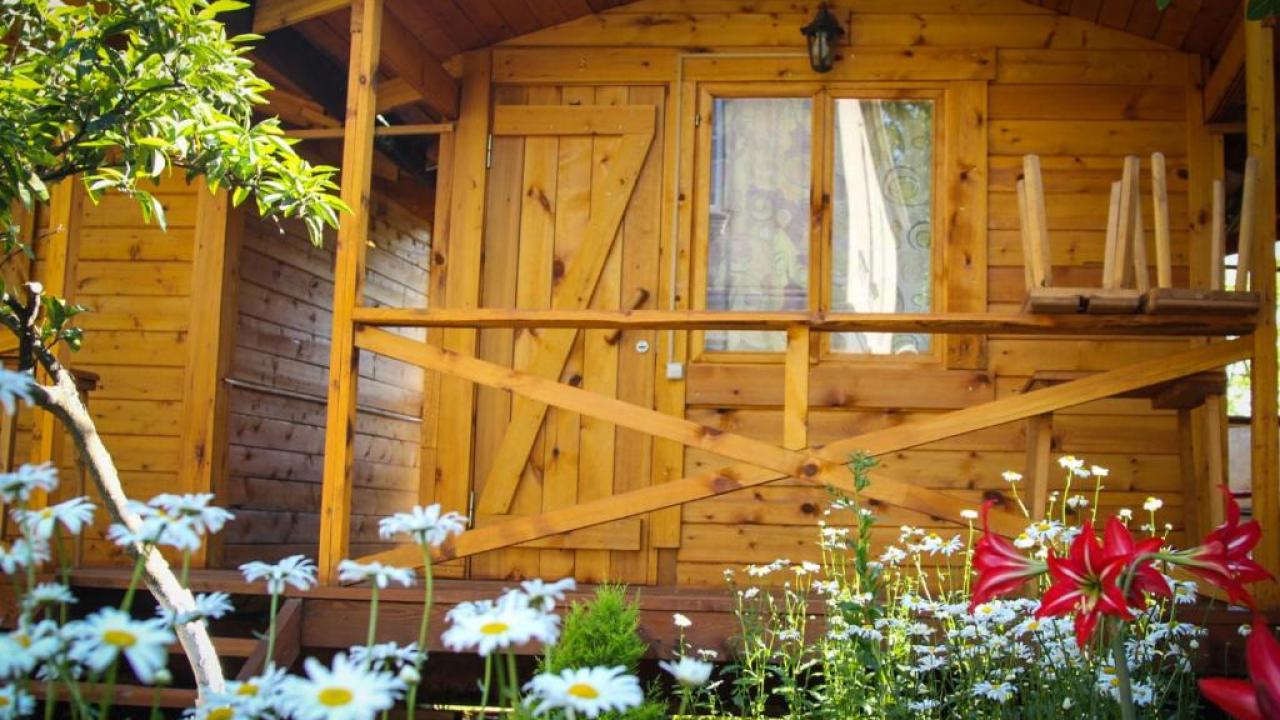 Реальные фото База отдыха Теремки